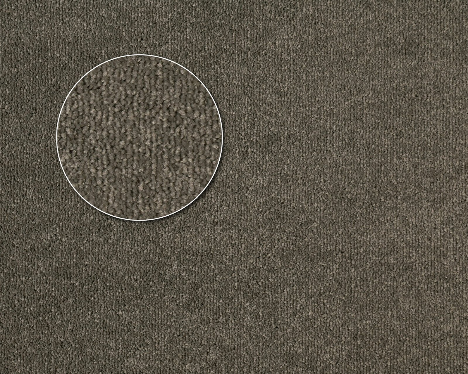 Chaparral-Gull.jpg Gull - Image 1