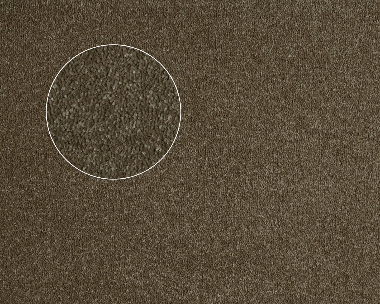 Chaparral-Titan.jpg Titan - Image 1