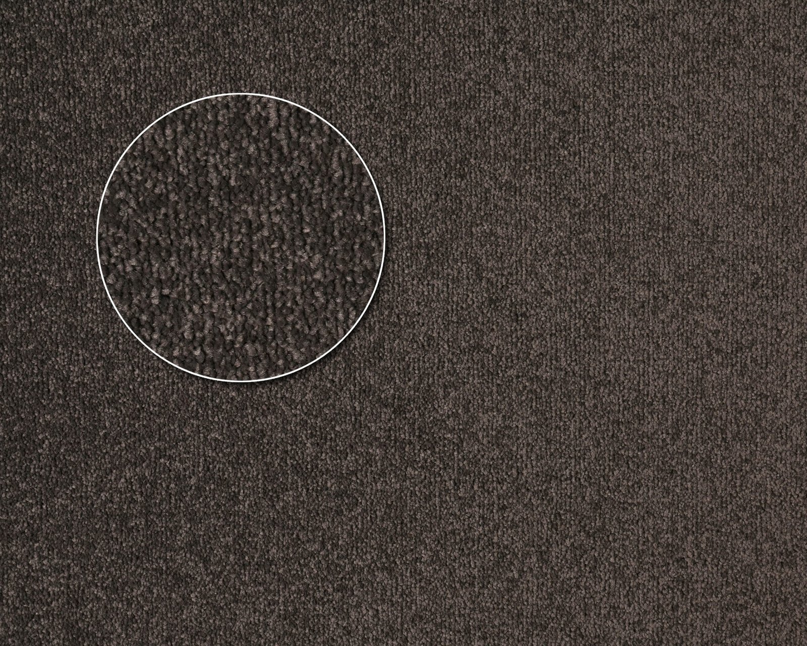 Chaparral-Voilet.jpg Violet - Image 1