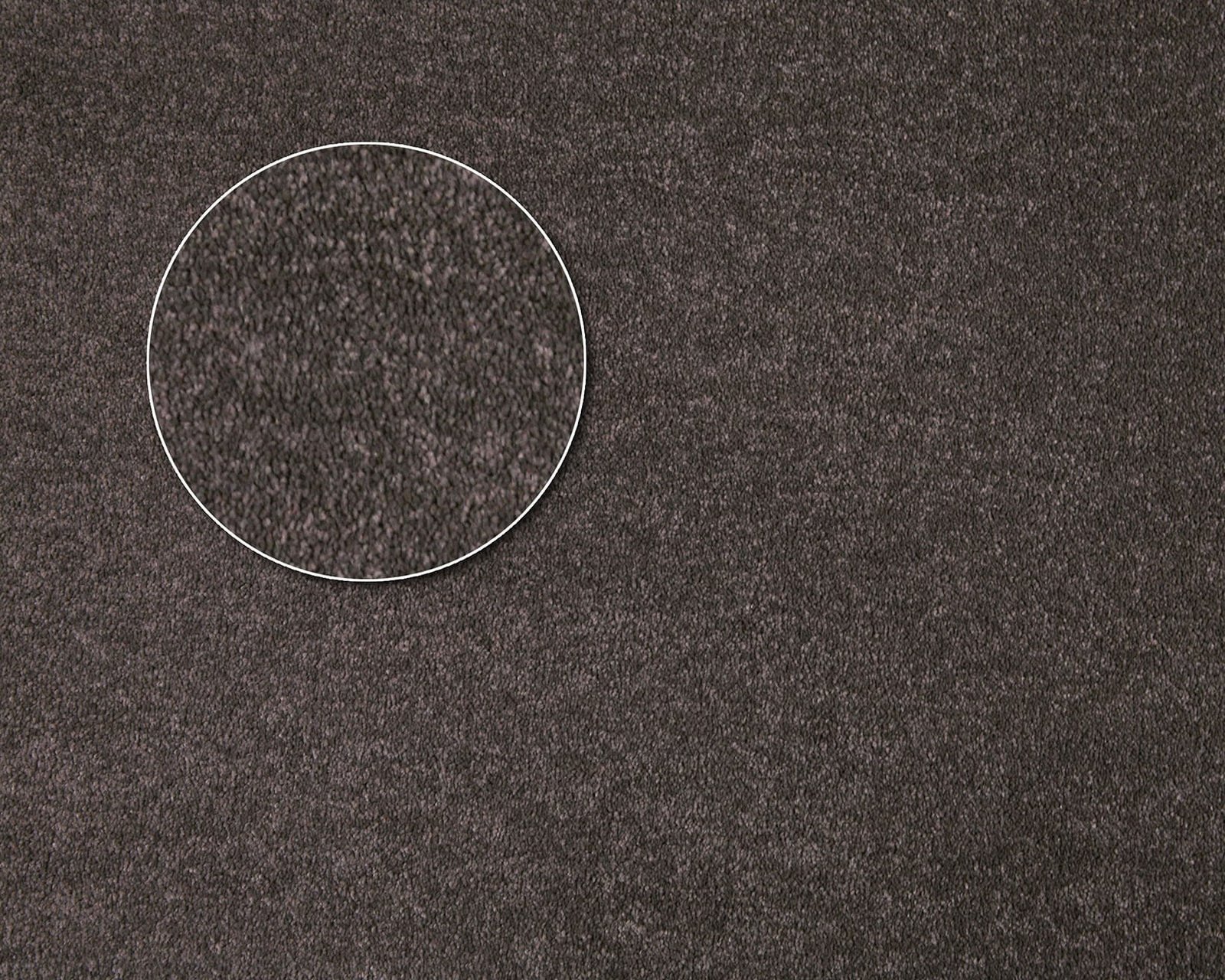 Chapparal-Ash.jpg Ash - Image 1