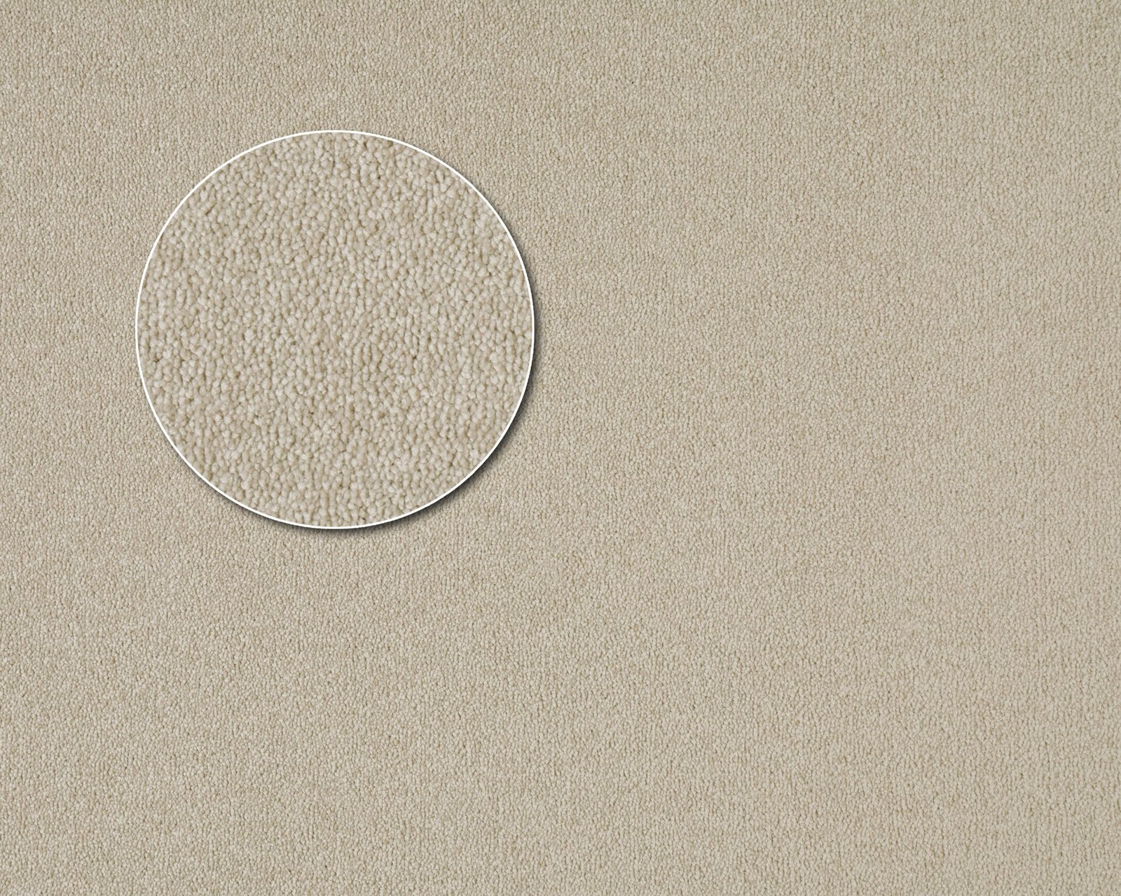 Chapparal-Ivory.jpg Ivory - Image 1