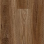 Spotted Gum