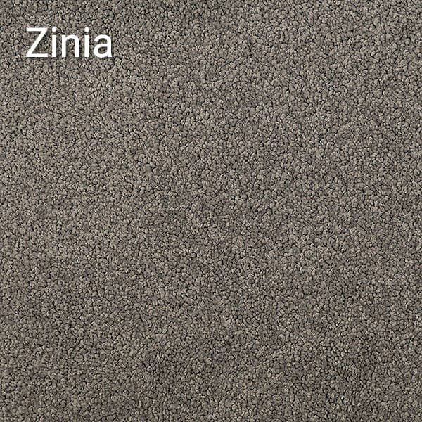 Mediterranean-Zinia-600.jpg Zinia - Image 1